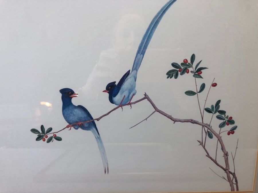 Pair of Chinese framed prints of birds, each approx 36cm x 31cm (inside mount) - Image 4 of 18