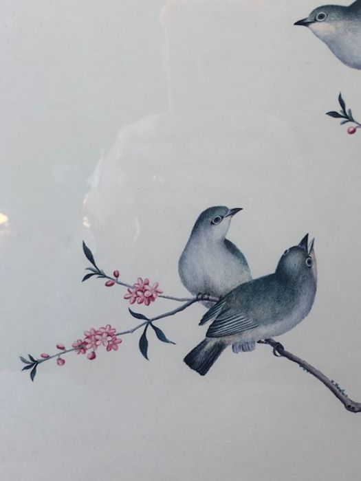 Pair of Chinese framed prints of birds, each approx 36cm x 31cm (inside mount) - Image 12 of 18