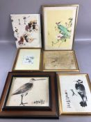 Collection of Chinese ink and watercolour pictures, on silk and paper, mostly depicting birds, the