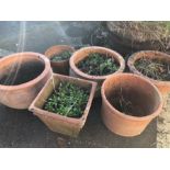 Good collection of terracotta garden pots, seven in total