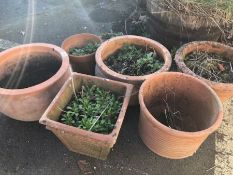 Good collection of terracotta garden pots, seven in total