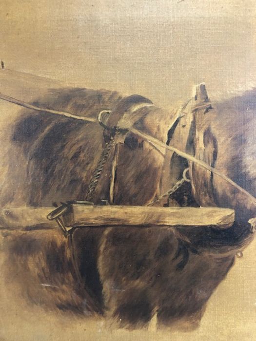 Oil on canvas of a donkey, approx 50cm x 40cm, unsigned, a couple of small areas of damage to - Image 4 of 9