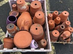 Large collection of vintage terracotta plant pots