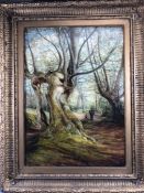 English school, 19th Century, oil on canvas, titled verso 'Moss Grown Path, Burnham Beeches, April