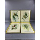 Collection of four framed ornithological coloured prints, each approx 36cm x 25cm (4)