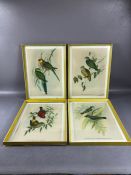 Collection of four framed ornithological coloured prints, each approx 36cm x 25cm (4)