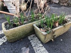 Two concrete garden troughs and their contents