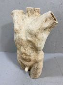 Contemporary clay sculpture of a male human torso, approx 55cm in height