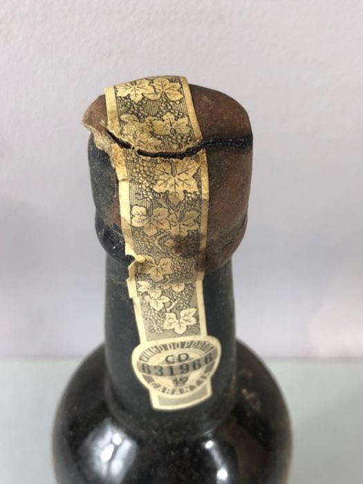 Port: Vintage Dalva Porto Port 1970 one bottle - Image 5 of 10