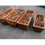 Four Terracotta garden troughs