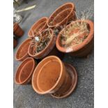 Seven Terracotta garden plant pots