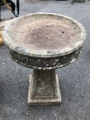 Concrete Garden Bird bath