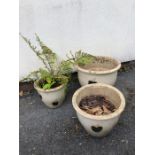 Three glazed Garden Pots