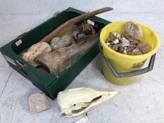 Fossil collection. quantity of fossil bones and other items including a reproduction Elephant Bird