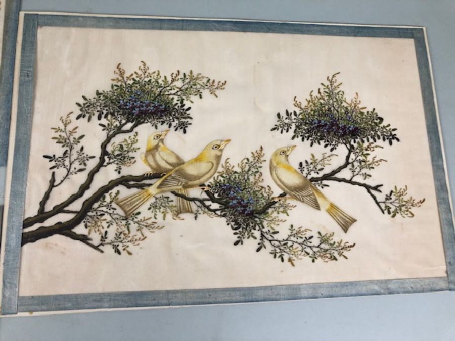 Bird Paintings on silk, Three colourful 19th century Indian paintings of birds on silk, each - Image 4 of 11