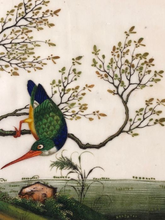 Bird Paintings on silk, Three colourful 19th century Indian paintings of birds on silk, each - Image 6 of 11