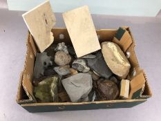 Fossil Collection, Quantity of Fossils and minerals to include Quartz specimen, Bone, Coprolite, Neo