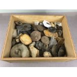 Fossil Collection, a Quantity of Fossils to include Ammonites, Micraster, Spirifer ,Brachiopods,