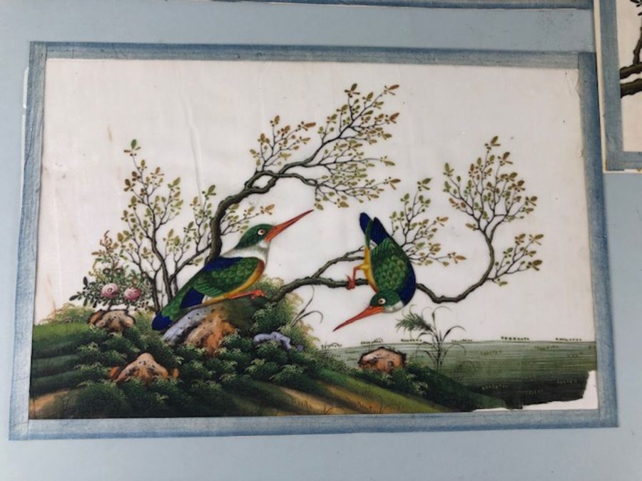 Bird Paintings on silk, Three colourful 19th century Indian paintings of birds on silk, each - Image 3 of 11