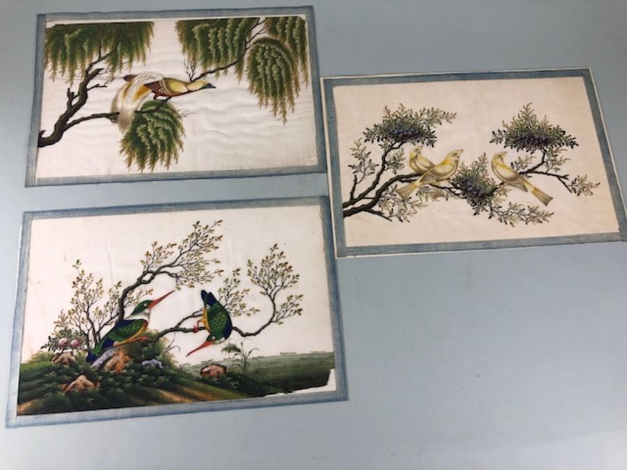 Bird Paintings on silk, Three colourful 19th century Indian paintings of birds on silk, each