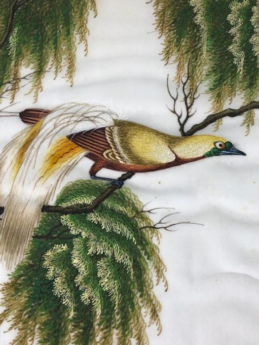 Bird Paintings on silk, Three colourful 19th century Indian paintings of birds on silk, each - Image 7 of 11