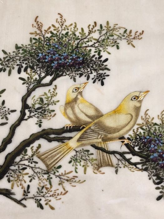 Bird Paintings on silk, Three colourful 19th century Indian paintings of birds on silk, each - Image 8 of 11