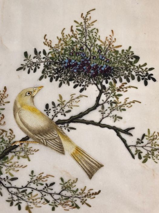 Bird Paintings on silk, Three colourful 19th century Indian paintings of birds on silk, each - Image 9 of 11