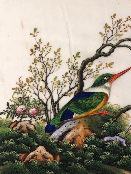 Bird Paintings on silk, Three colourful 19th century Indian paintings of birds on silk, each - Image 5 of 11