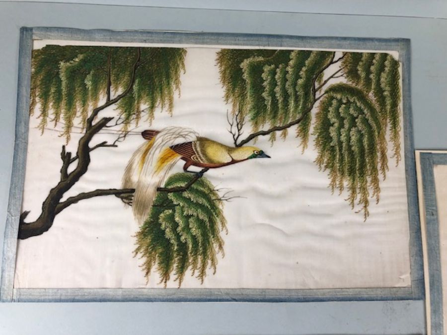 Bird Paintings on silk, Three colourful 19th century Indian paintings of birds on silk, each - Image 2 of 11