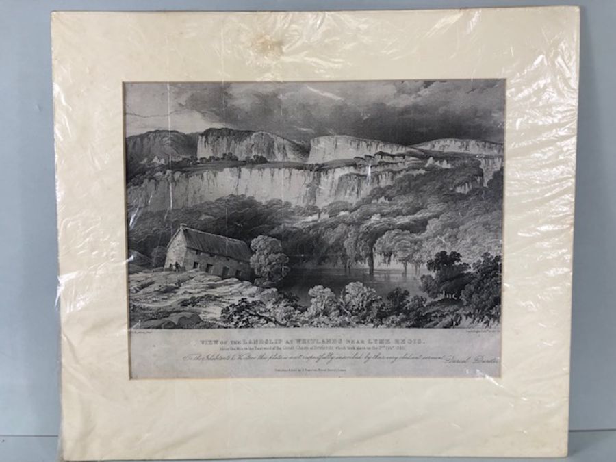 Pictures, 3 etchings of local interest being a view of the Landslip at Lyme Regis 1840, Ruins - Image 7 of 16