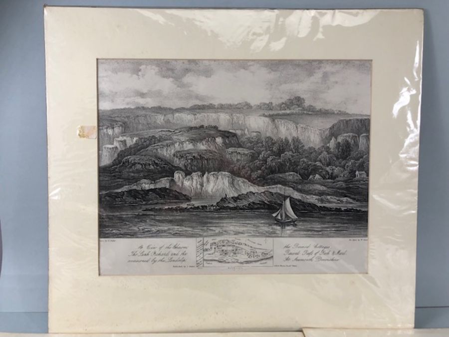 Pictures, 3 etchings of local interest being a view of the Landslip at Lyme Regis 1840, Ruins - Image 2 of 16