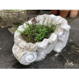 White painted planter in the form of a shell