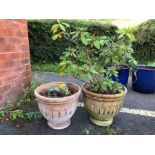 Pair of Terracotta Garden pots approx 32cm tall