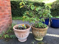 Pair of Terracotta Garden pots approx 32cm tall