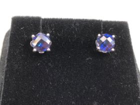 Pair of Blue Gemstone earrings