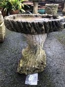 Garden concrete birdbath