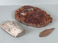 Fossil , Geology interest , Specimens of prehistoric Fossilised Wood, formally in the collection