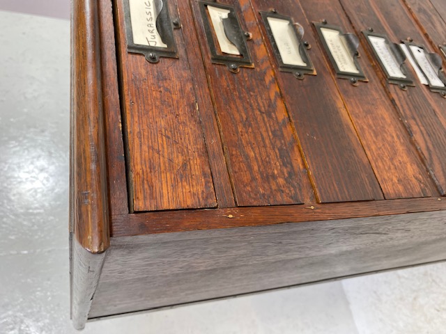 Dark stained oak specimen cabinet with two flights of 14 narrow drawers with metal cup handles - Image 3 of 13