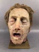 Film Prop interest, Life size and life like decapitated and rotting head, with real hair eyelashes