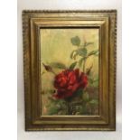 D ROBERTSON REID, oil on board of red roses, signed lower right, approx 30cm x 20cm