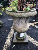 Garden planter on plinth