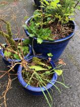 Collection of ceramic and glazed garden pots (3)