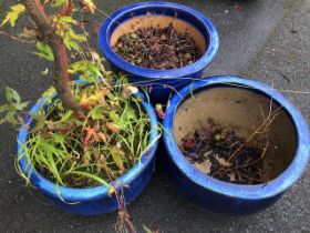 Collection of ceramic and glazed garden pots (3)