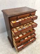 Fossil interest, Victorian wooden collectors cabinet with a run of 8 drawers containing an