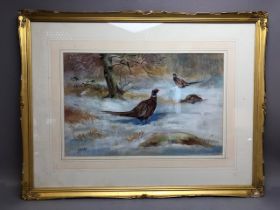 THOMAS WRIGLEY (British, 1883-1940), watercolour of pheasants 'Ken Hill Woods, Snettisham', signed