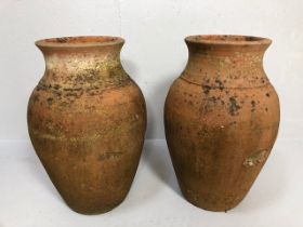 Two Terracotta olive pots with good patination, approximately 53cm high 24cm at mouth