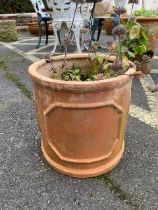 Terracotta-style garden pot