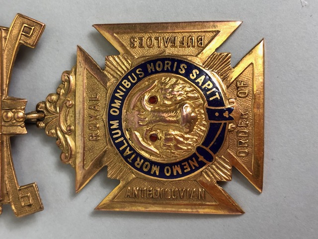 Masonic Medal with Blue enamel detailing on 9ct Gold with ribbon and clasp for the Royal Order of - Image 9 of 18