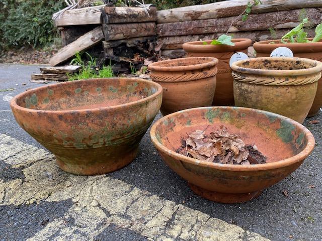 Collection of six various terracotta pots - Image 2 of 3