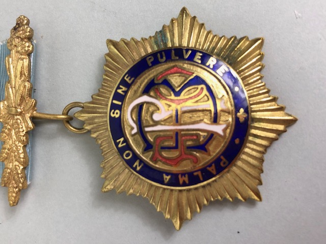 Masonic Medal with Blue enamel detailing on 9ct Gold with ribbon and clasp for the Royal Order of - Image 3 of 18